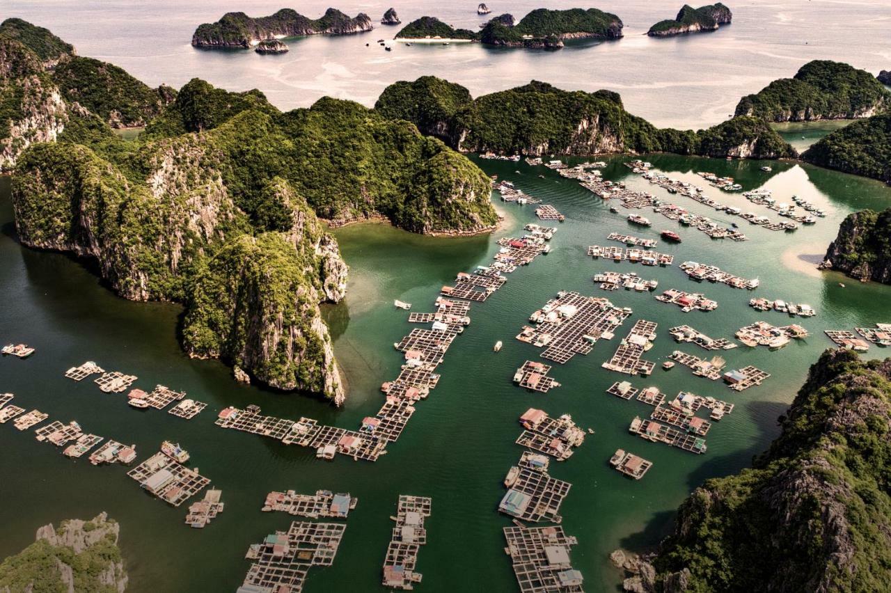 Heritage Line Ylang Cruise - Halong Bay & Lan Ha Bay Ha Long Exterior foto