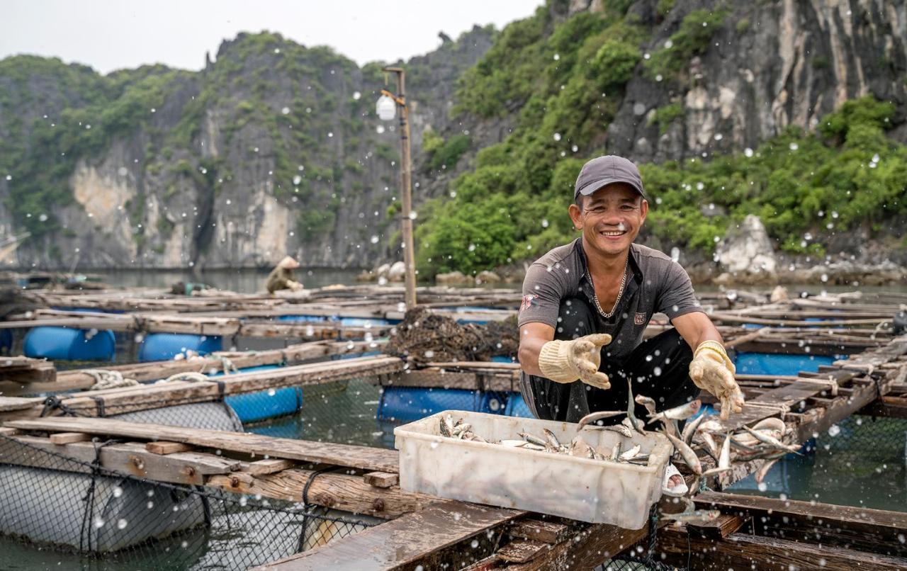 Heritage Line Ylang Cruise - Halong Bay & Lan Ha Bay Ha Long Exterior foto
